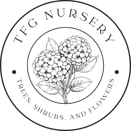 TFG Nursery